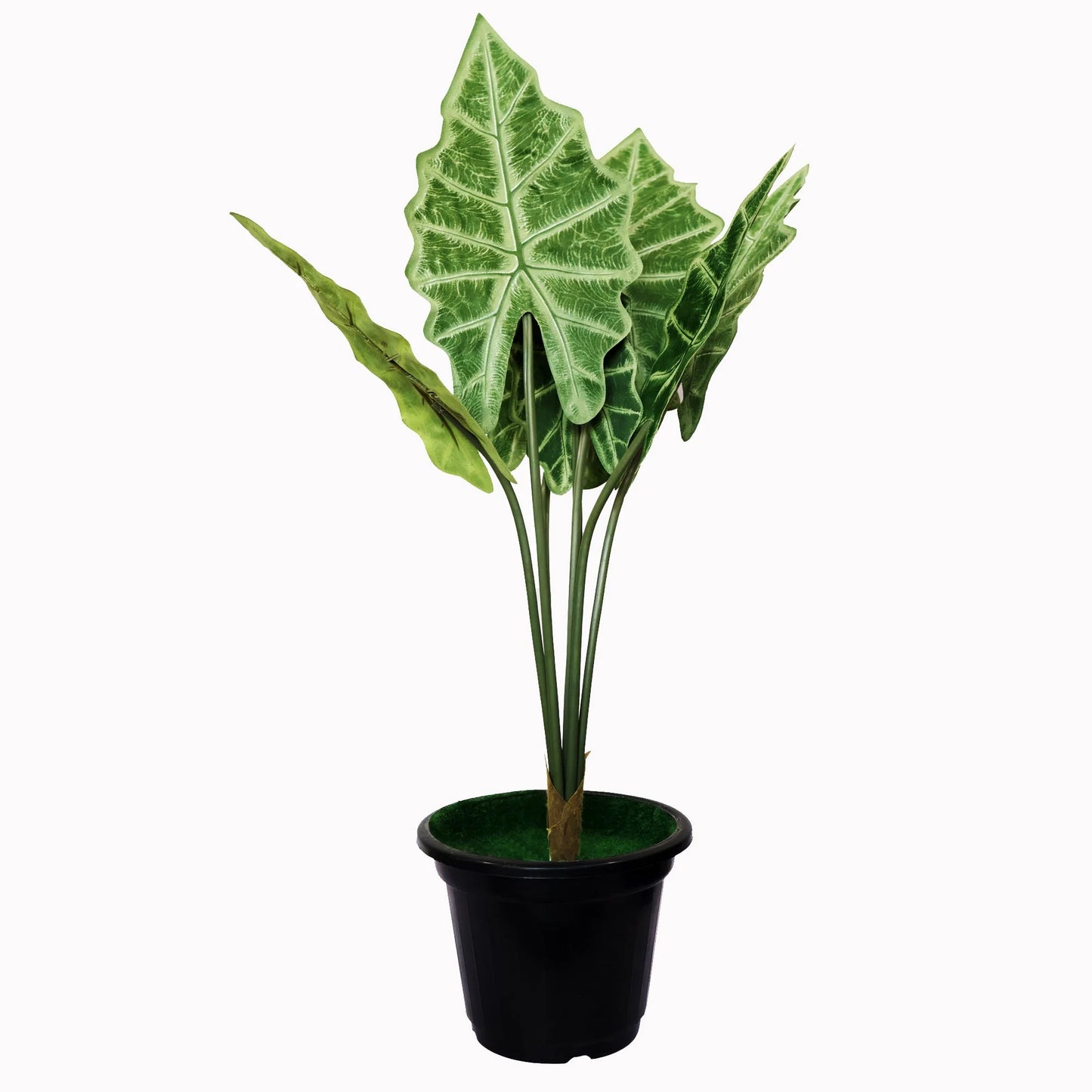 24" ( 60 cm ) Alocasia Amazonica Tropical Artificial Plants Pack of 2