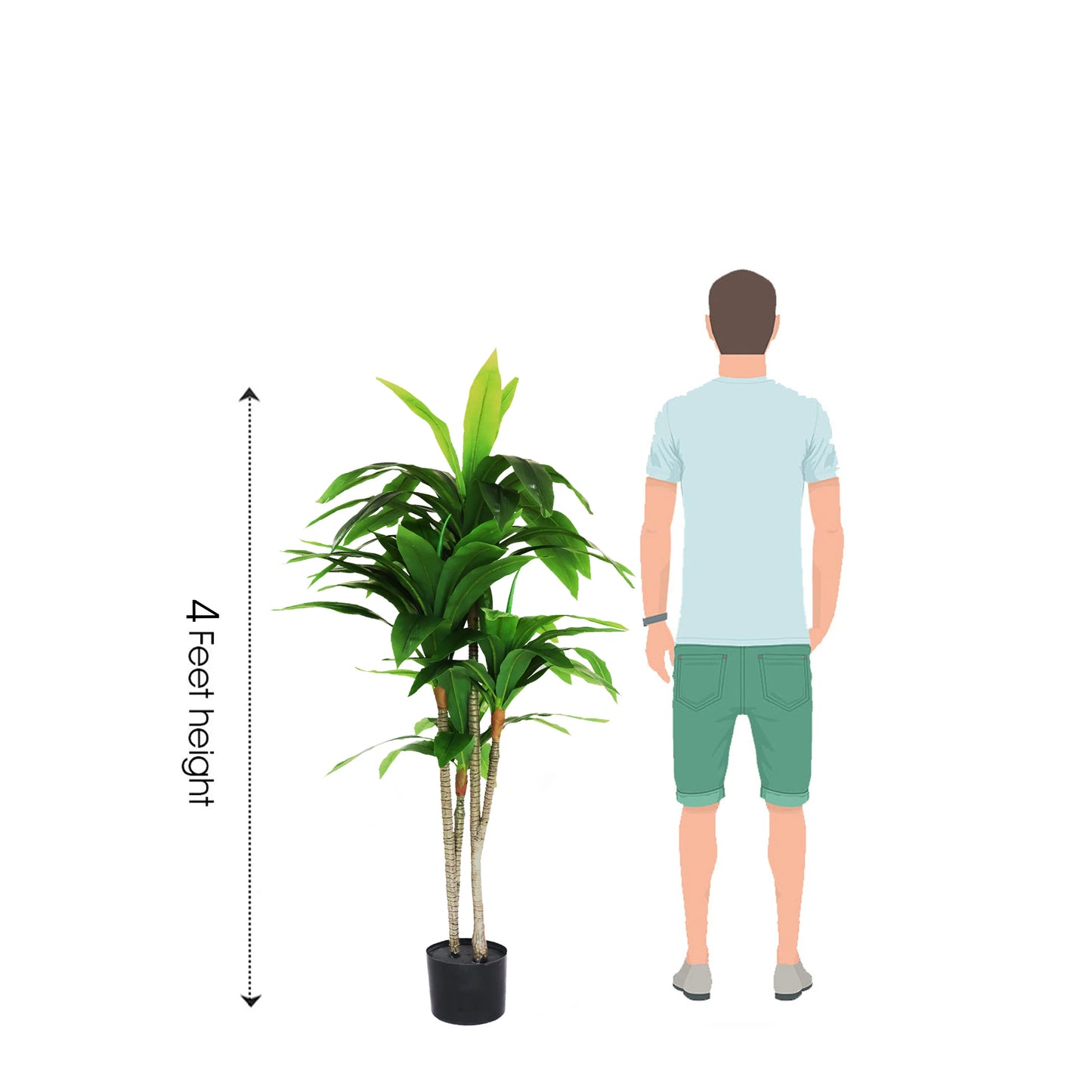 4 feet (120 cm) Decorative Artificial Dracaena Plants Pack Of 1